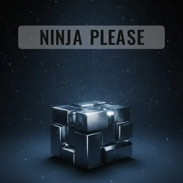 Ninja Please