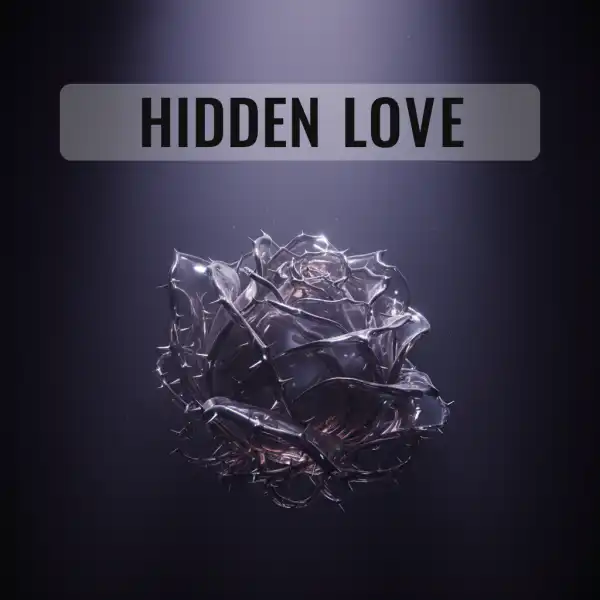 Hidden Love