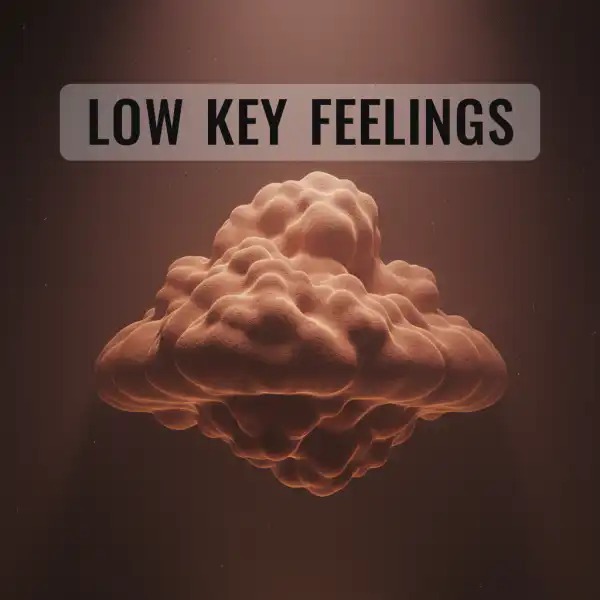 Low Key Feelings